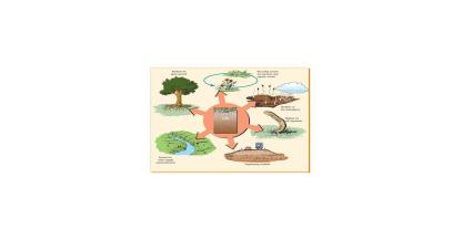 Catalysing sustainability by harnessing microbial activities and technologies to improve sustainability for wide-scale implementation and prevent disease,