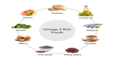 Biochemical Mechanisms of Lipid Metabolism and Dietary Fats: A Comprehensive Review